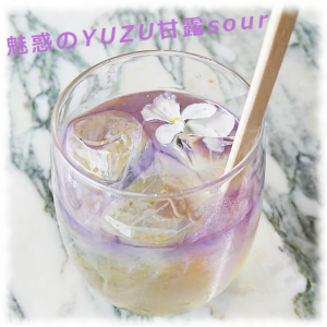 魅惑のYUZU甘露sour