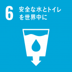 sdg_icon6