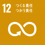 sdg_icon12