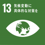 sdg_icon13